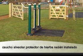 Right-surfacing-grassbefore